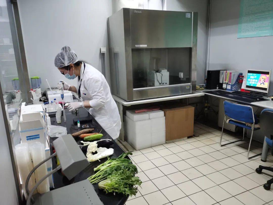 莎车食品检测实验室装修方案